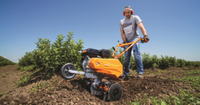 Ako zazimovať záhradu?